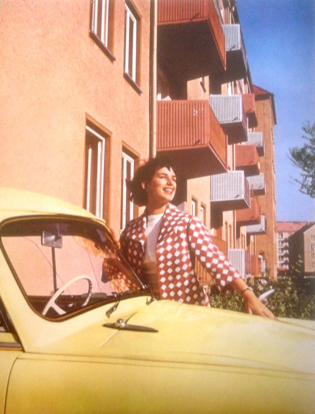 aldiladelmurotre aldiladelmurotre