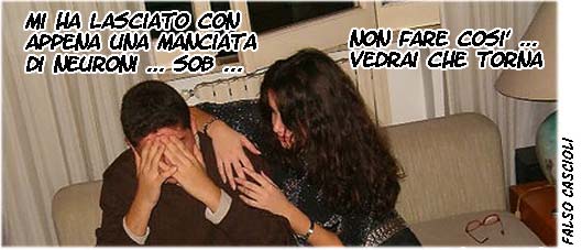 AllaRicercaDelCervelloPerduto