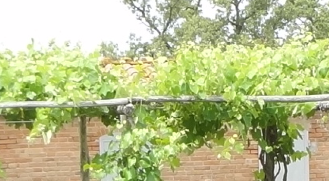 Schermata 2012-06-14 a 14.53.00