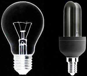 173717315-7210f54d-e4af-49b6-a06e-fa7e0a0351c7 2