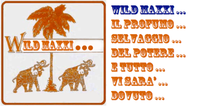 wild maxxi 2