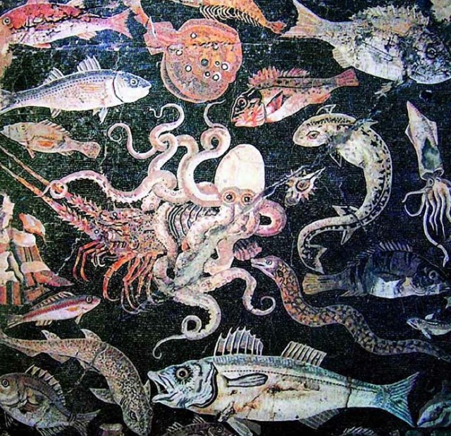 106_mosaico_specie_pesci_mare_napoli-1
