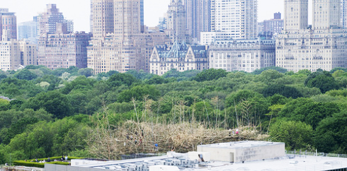 4728676212_6c74906e7e