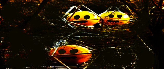 notte a vallegiulia ...