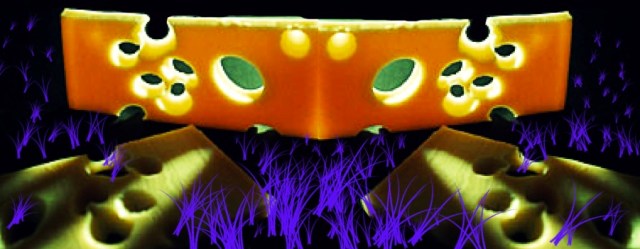 ambasciata svizzera di pechino ... veduta notturna ...