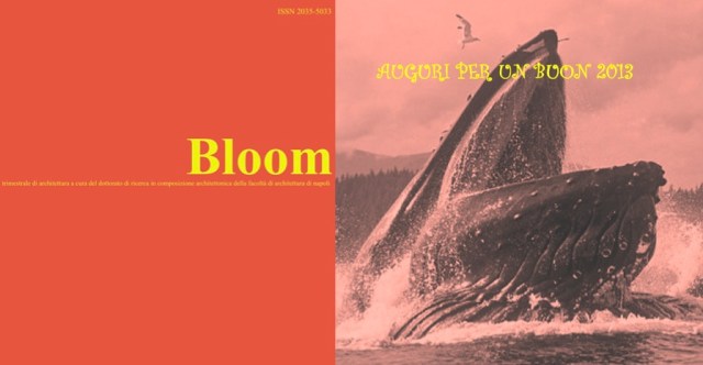 Bloom 15