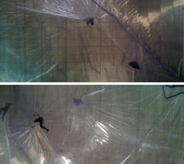 Schermata 2012-12-16 a 23.15.18