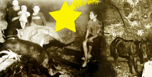 befana neorealista ...