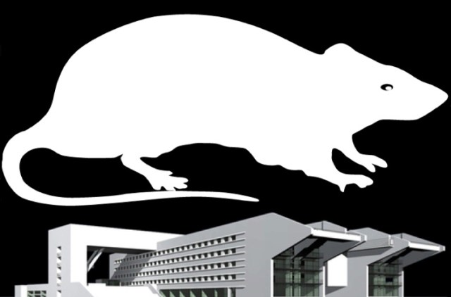 fantasmi del passato ...