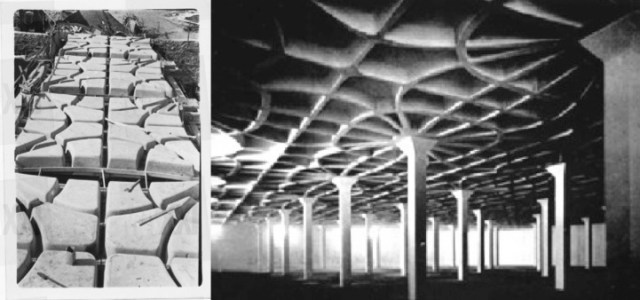 p.l.nervi lanificio gatti