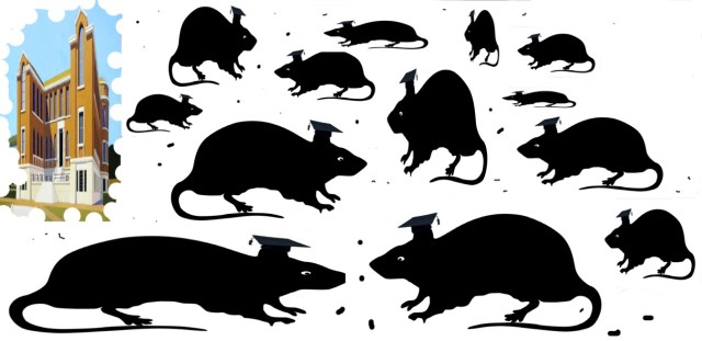 Schermata 2013-01-11 a 15.57.18