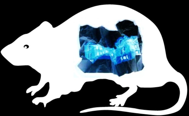 Schermata 2013-01-11 a 19.40.02