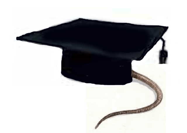 Schermata 2013-01-12 a 12.41.01