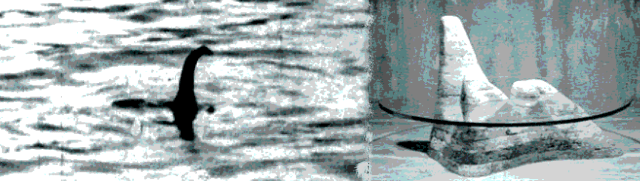 le vacanze di nessie ...