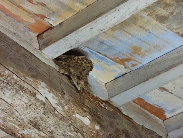 Schermata 2013-02-10 a 00.05.39