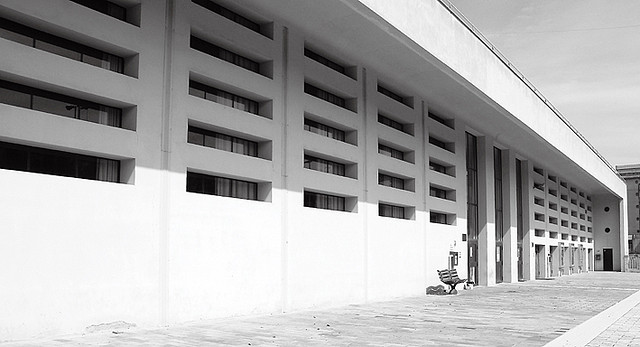 3290651733_69865f181f_z