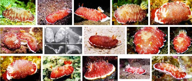 Schermata 2013-03-11 a 20.07.37