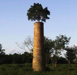 slide_289216_2281893_free