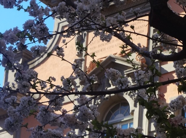 Schermata 2013-04-15 a 11.04.31