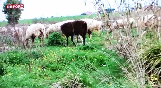 Schermata 2013-04-17 a 16.02.30