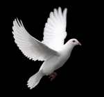 Schermata 2013-04-19 a 19.41.25