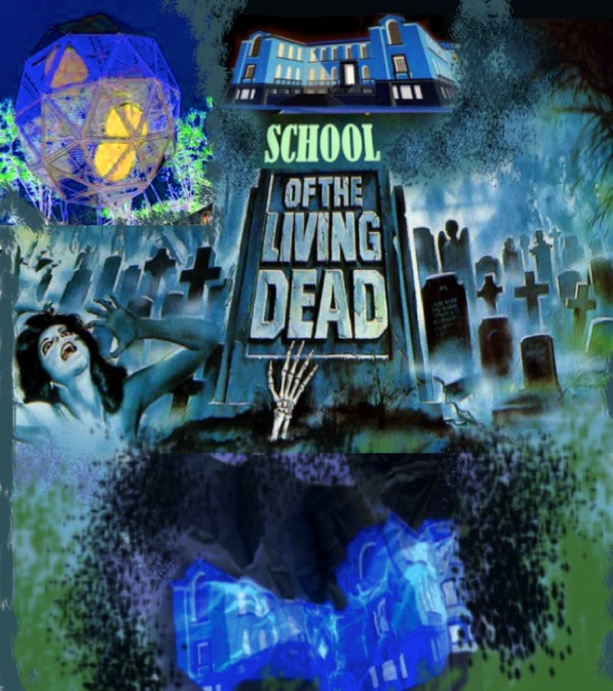 assemblea di facoltà ...