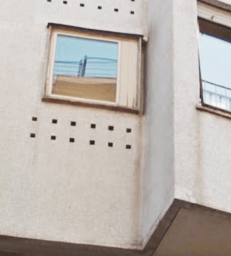 girasole esterno cesso