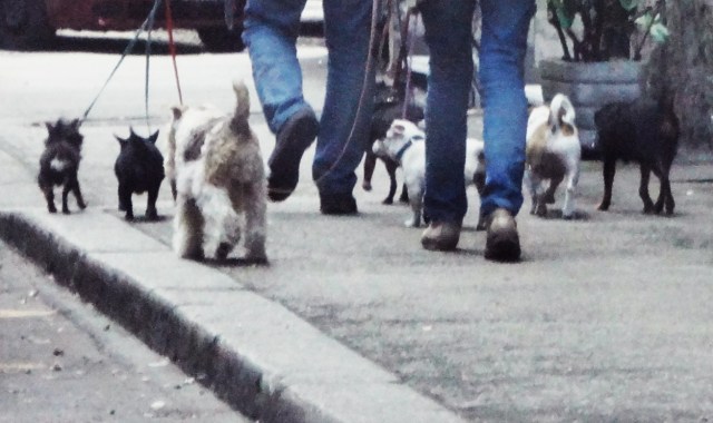 Schermata 2013-05-09 a 00.22.55