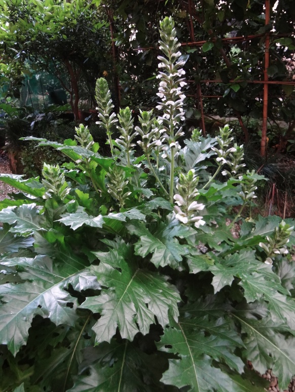 Schermata 2013-05-25 a 23.44.00