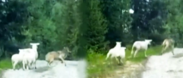 Schermata 2013-06-16 a 18.55.29