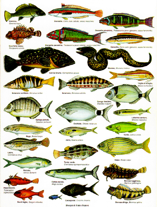 Schermata 2013-06-16 a 23.57.25