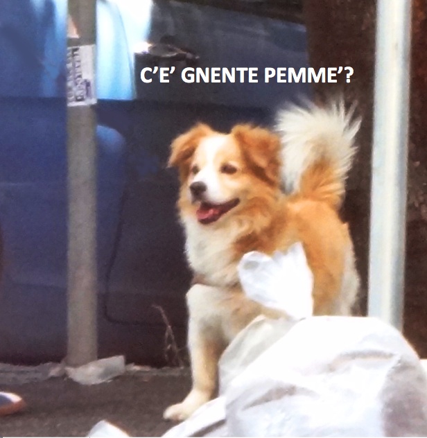 vorpino disoccupato ...