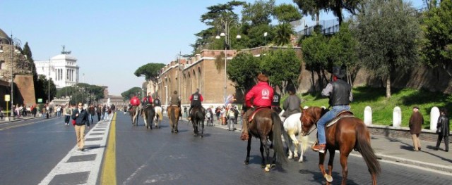 164759582-a4e8e542-c9e8-46a8-b41a-98a0a4f6b568