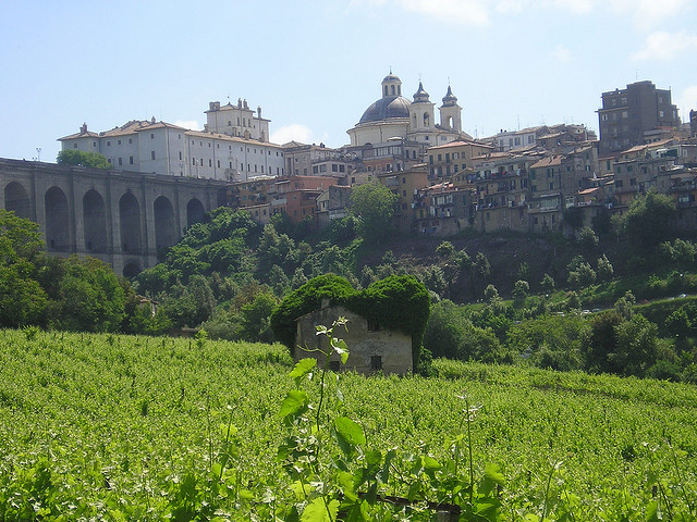 512479165_143f8dadf9_z