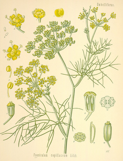 qk99a1k6318831914b2_0514