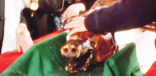 Schermata 2013-08-01 a 14.14.07