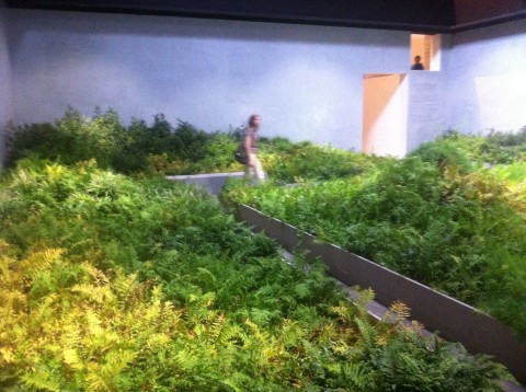 Biennale-Architettura-Padiglione-Italia-1-480x358