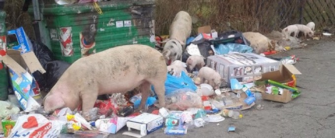 083407270-b0b76d52-9822-4ee4-8b6a-319b97f21a0d