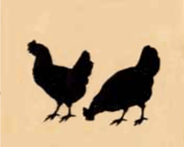 Schermata 2013-12-06 a 11.11.58