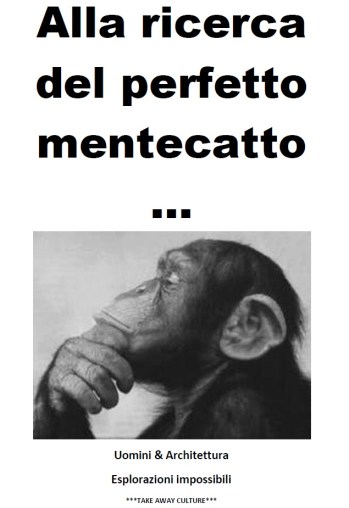 ALLA RICERCA DEL PERFETTO MENTECATTO