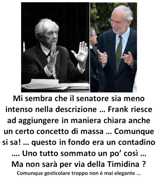 GLI EFFETTI DELLA TIMIDINA ...