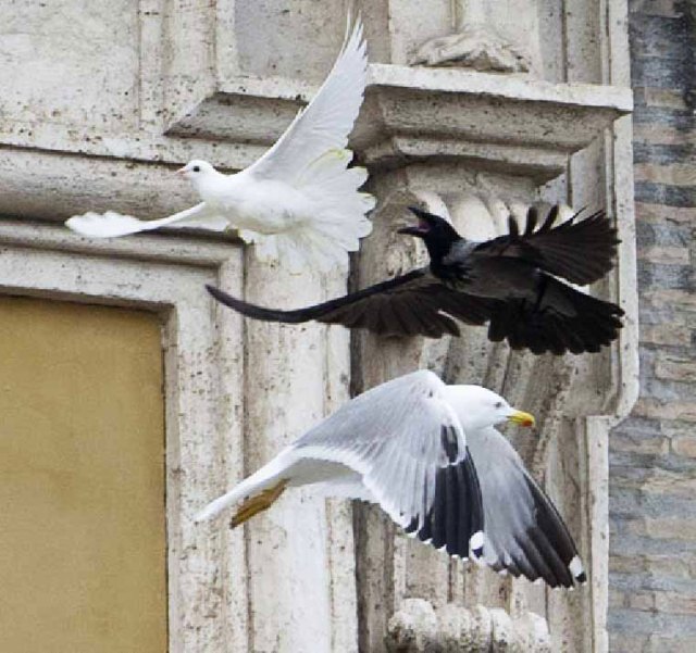 Schermata 2014-01-27 a 12.20.56