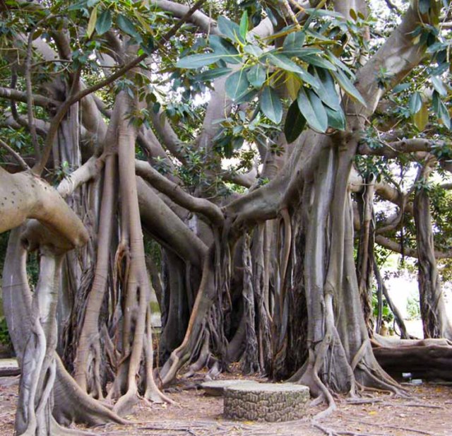 Schermata 2014-01-28 a 17.54.03