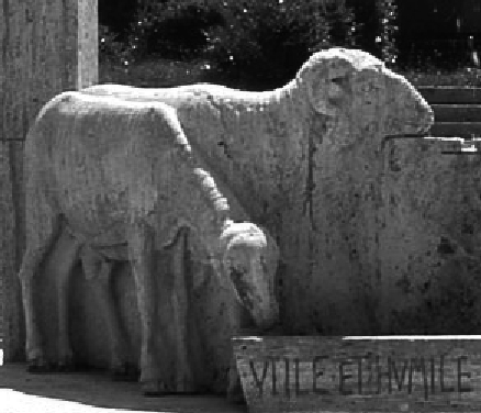 Monteleone Amatrice foto D'Angelo 2