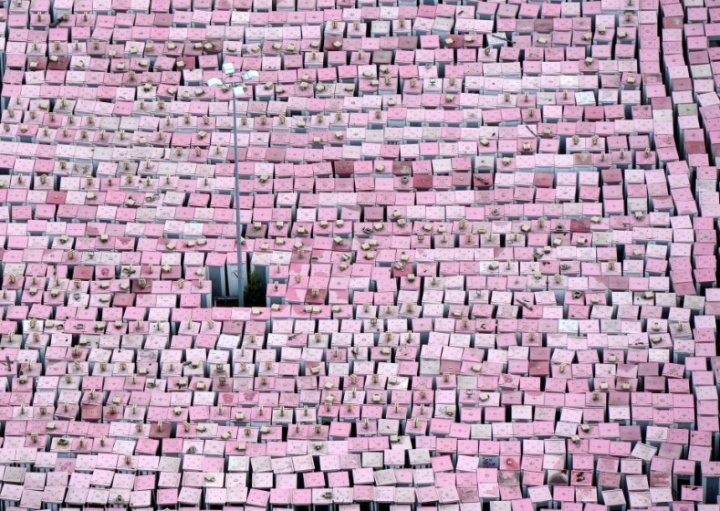 124306476-090f8b6c-9afa-4031-82bf-ba5c325f7e7f