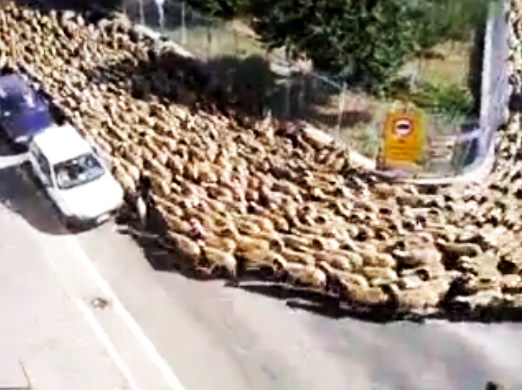 Schermata 2014-05-10 a 18.36.24