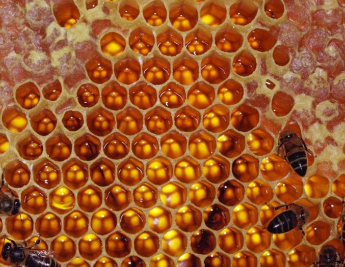 Schermata 2014-05-20 a 09.13.10