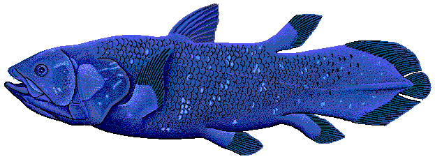Coelacanth