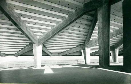 10984645_10153127266944243_675038682_n