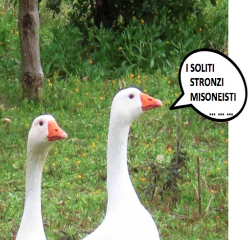 Schermata 2015-08-31 alle 00.25.18